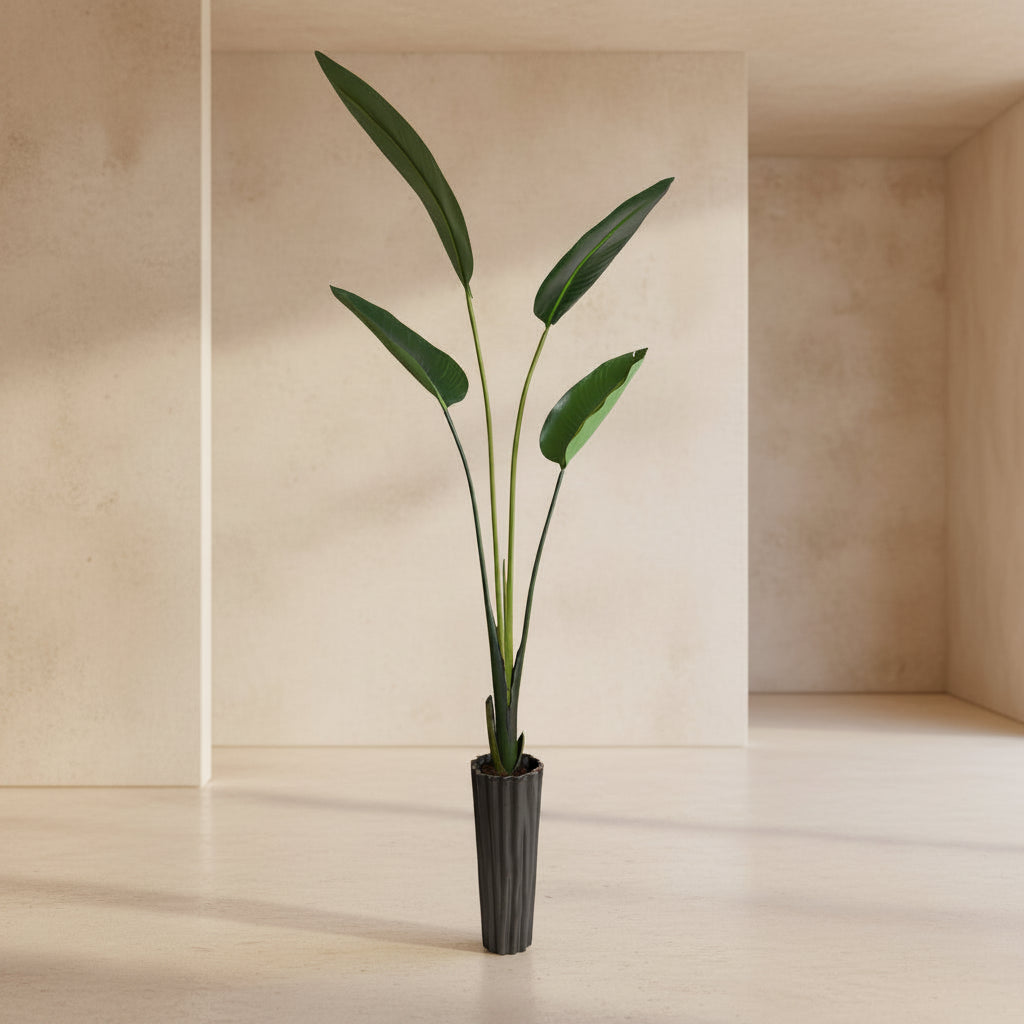 Bird of Paradise - TidyPlant