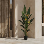 Bird of Paradise - TidyPlant