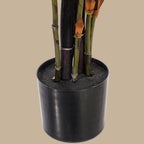 Black Japanese Bamboo Tree - TidyPlant