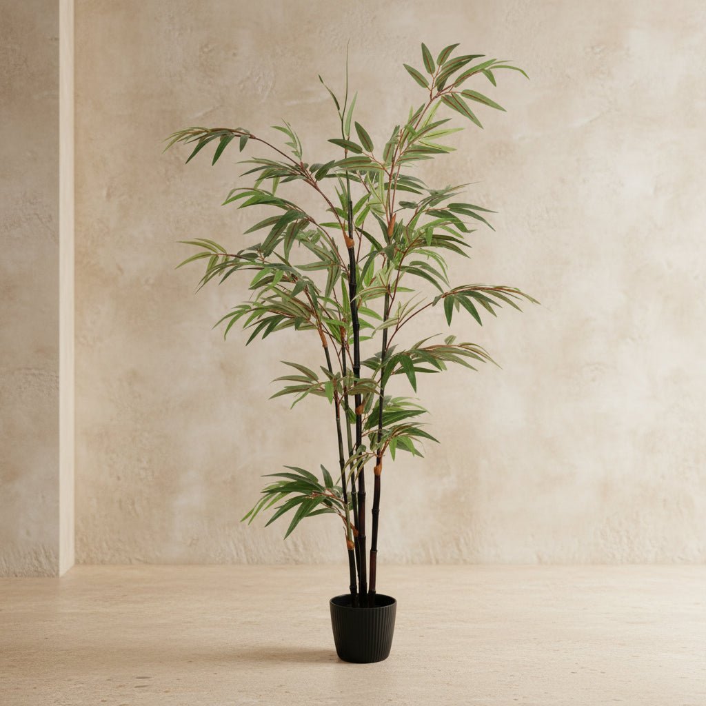 Black Japanese Bamboo Tree - TidyPlant