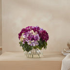 Blooming Hydrangea Bowl Arrangement - TidyPlant