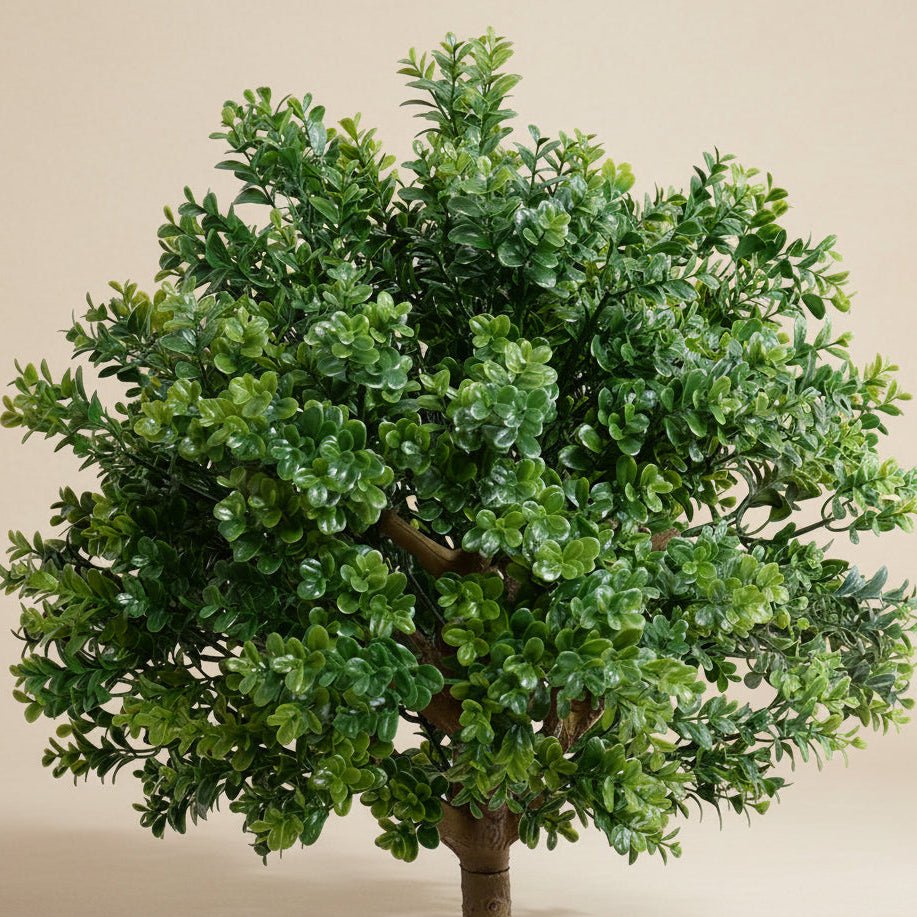 Boxwood Branch Tree - TidyPlant