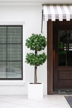 Boxwood Branch Tree - TidyPlant