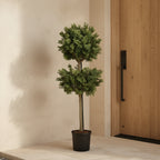 Boxwood Branch Tree - TidyPlant