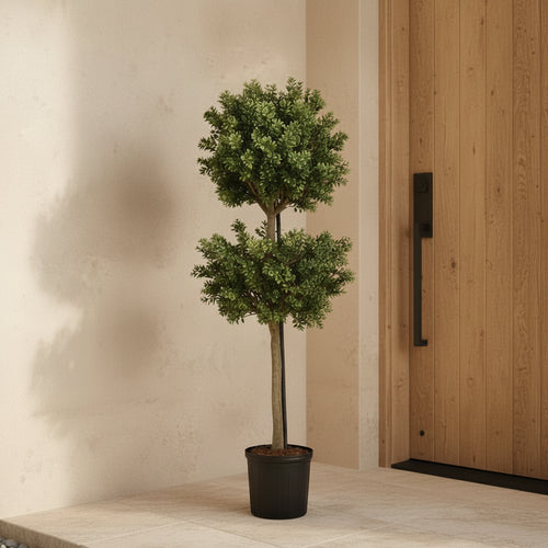 Boxwood Branch Tree - TidyPlant