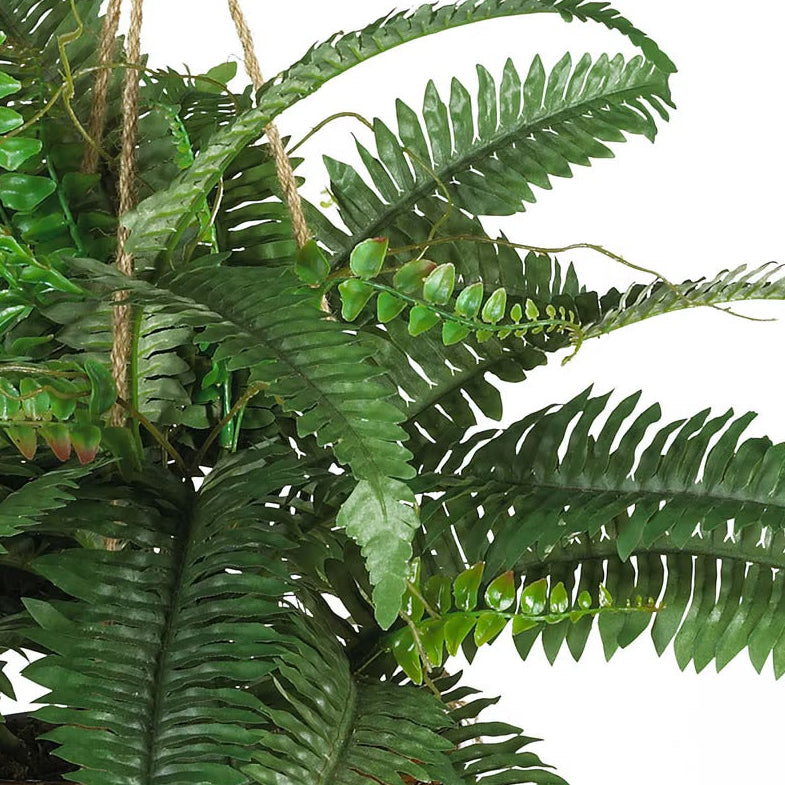 Effortless Houseplant Trio Bundle - Realistic Faux