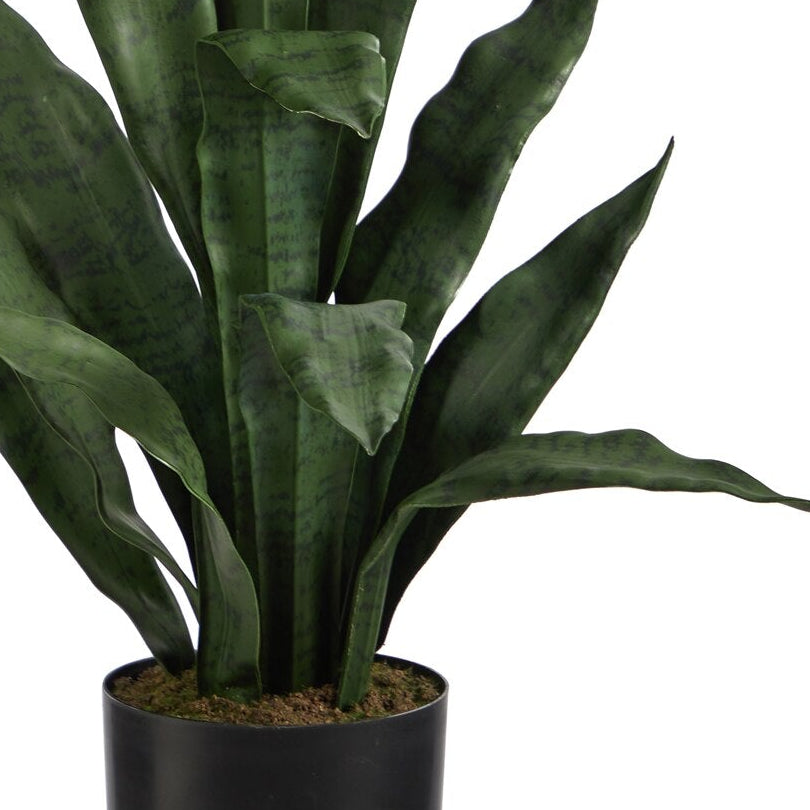 Effortless Houseplant Trio Bundle - Realistic Faux