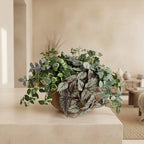Cascading Ivy Arrangement - TidyPlant