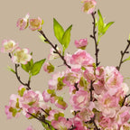 Cherry Blossom Arrangement - TidyPlant