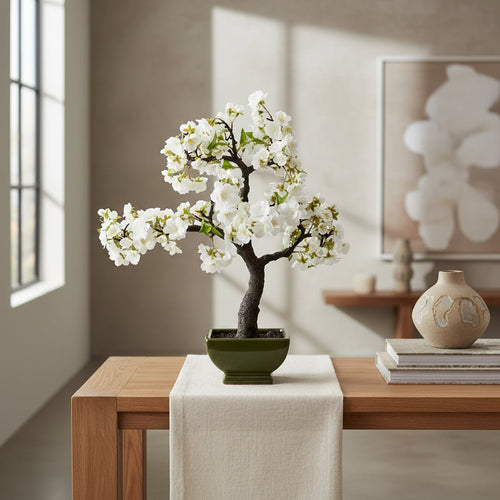 Cherry Blossom Bonsai - TidyPlant