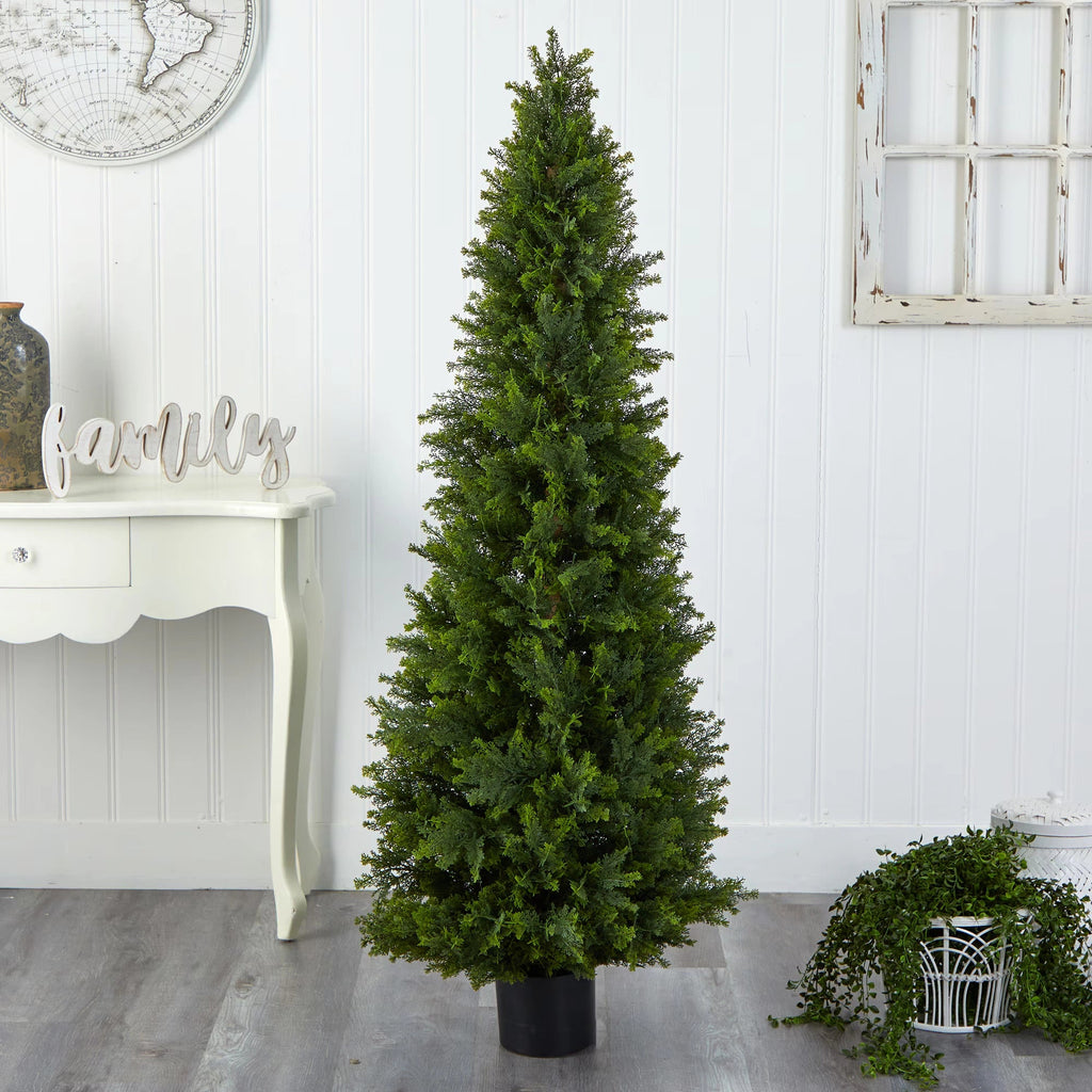 Cypress Cone Topiary - TidyPlant