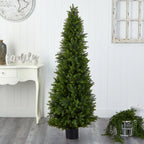 Cypress Cone Topiary - TidyPlant