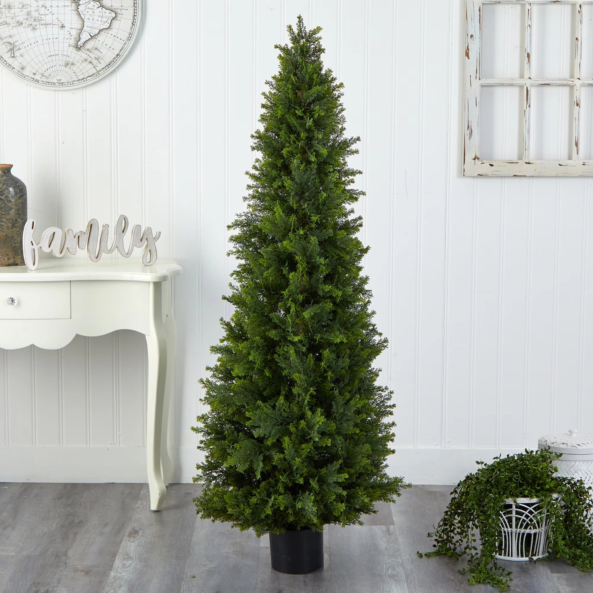 Cypress Cone Topiary - TidyPlant