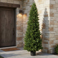 Cypress Cone Topiary - TidyPlant