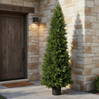 Cypress Cone Topiary - TidyPlant