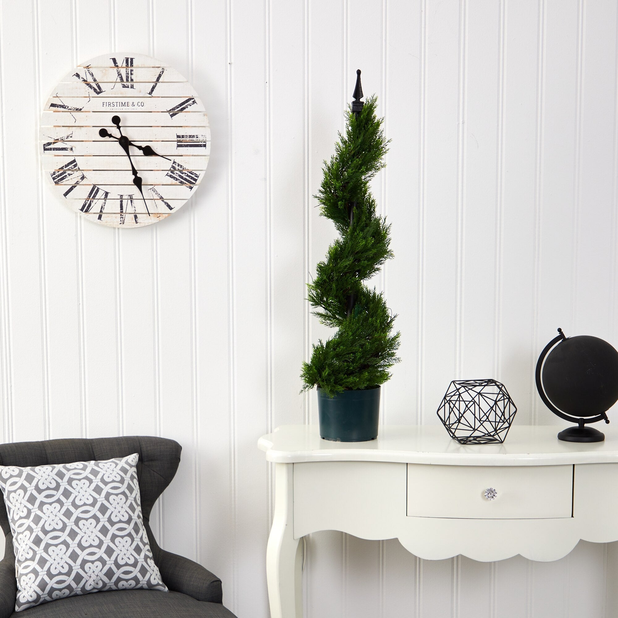 Cypress Spiral Topiary - TidyPlant