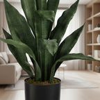 Effortless Houseplant Trio Bundle - Realistic Faux - TidyPlant