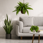 Effortless Houseplant Trio Bundle - Realistic Faux - TidyPlant