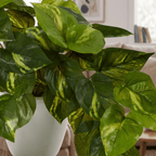 Effortless Houseplant Trio Bundle - Realistic Faux - TidyPlant