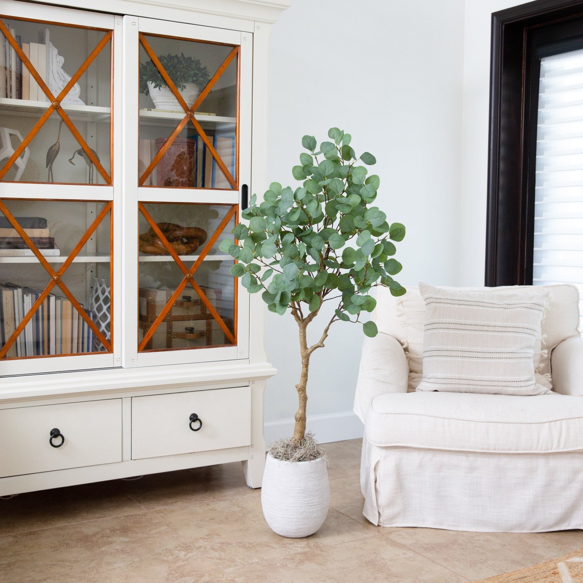 Eucalyptus Tree - TidyPlant