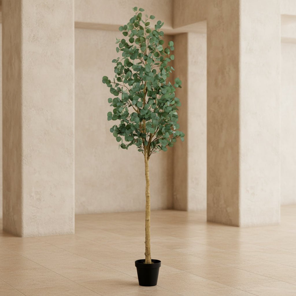 Eucalyptus Tree - TidyPlant