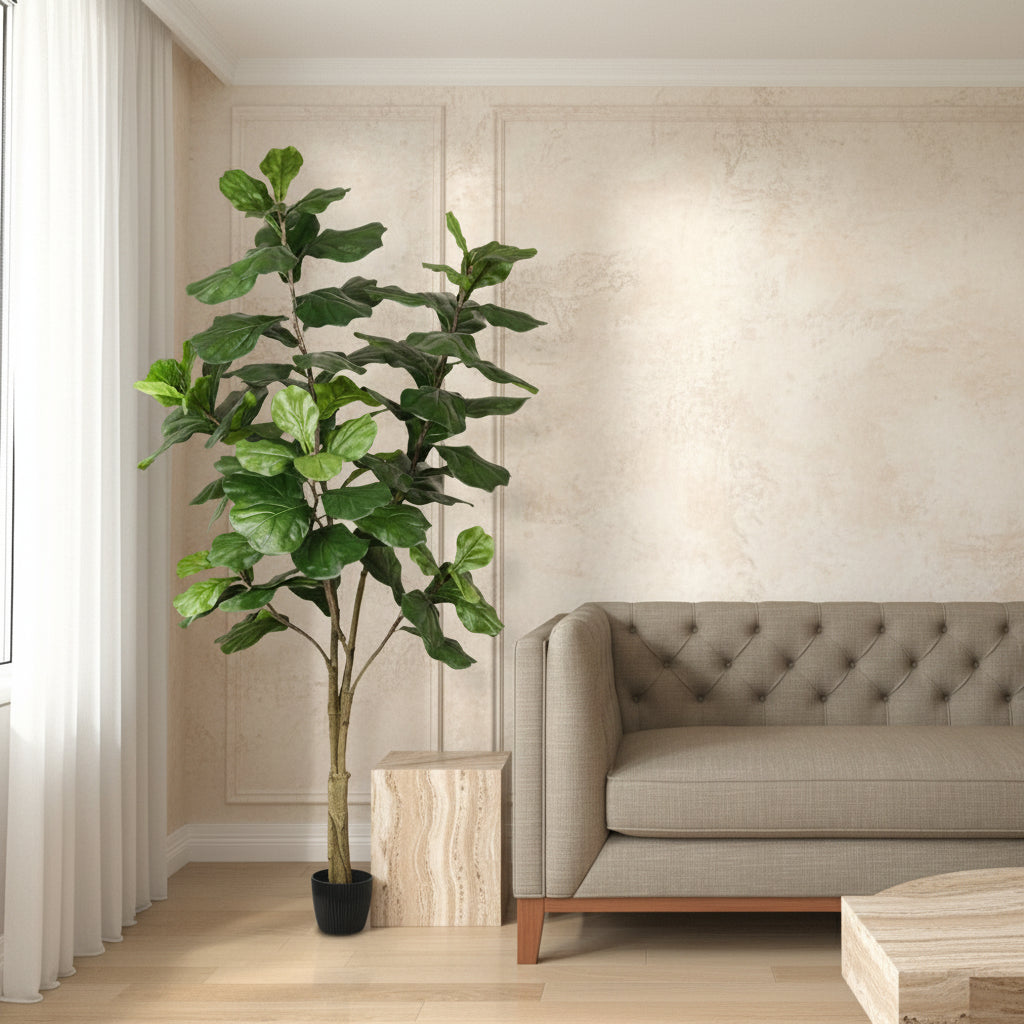Fiddle Leaf Fig Tree - TidyPlant