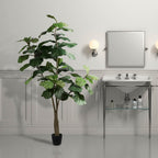 Fiddle Leaf Fig Tree - TidyPlant