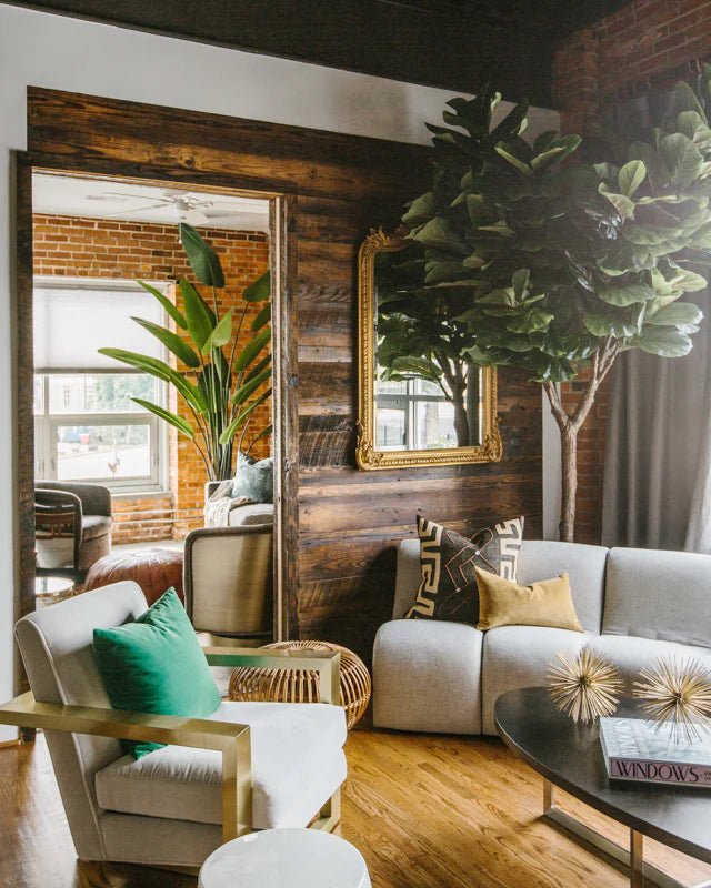 Fiddle Leaf Tree - Single - Trunk - TidyPlant