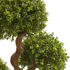 Four-Ball Boxwood Topiary - TidyPlant