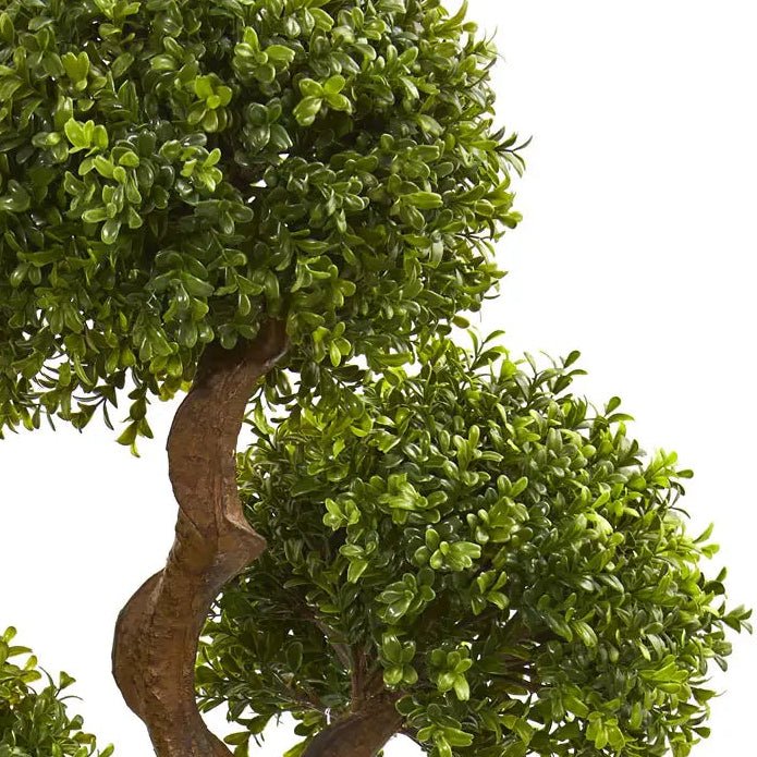 Four-Ball Boxwood Topiary - TidyPlant