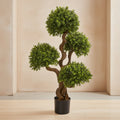 Four-Ball Boxwood Topiary - TidyPlant