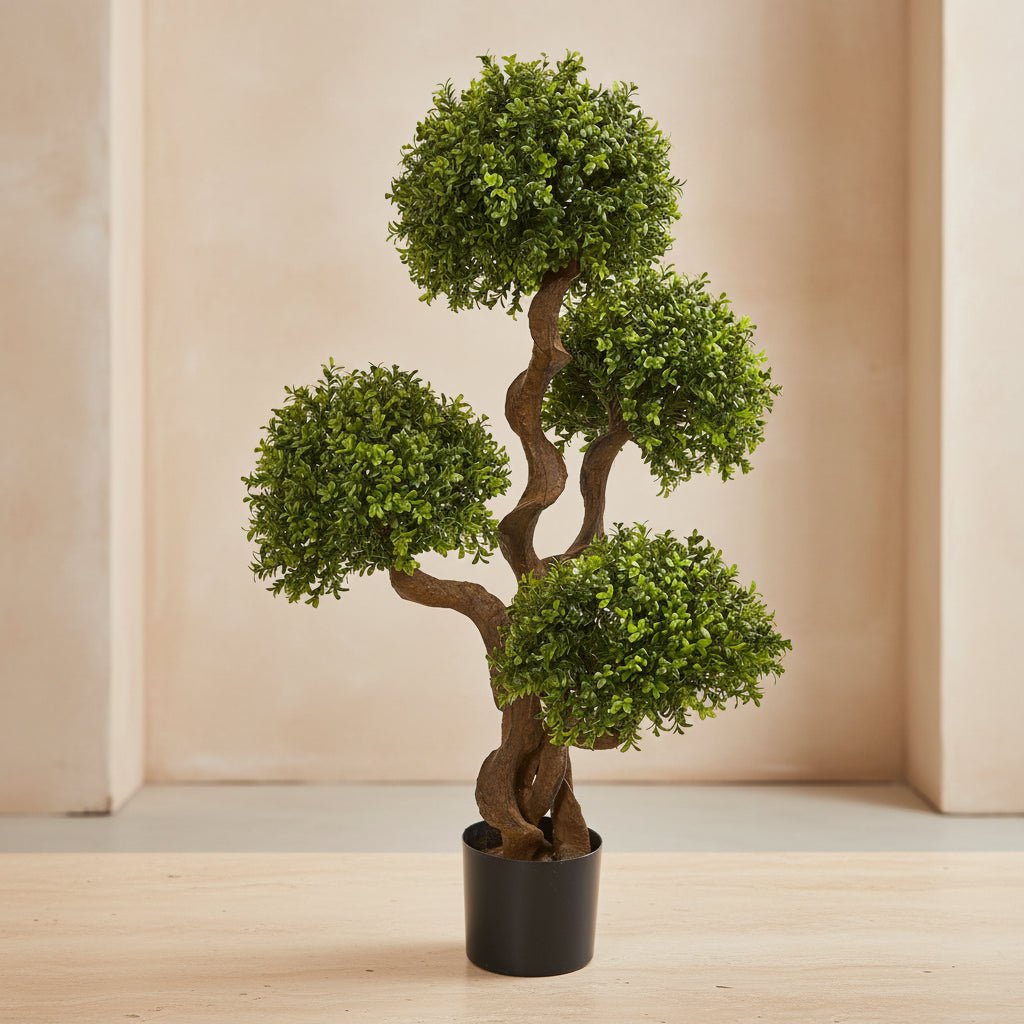 Four-Ball Boxwood Topiary - TidyPlant