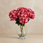 Hydrangea Arrangement - TidyPlant