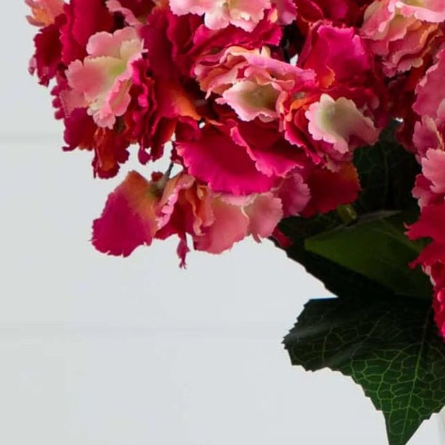 Hydrangea Arrangement - TidyPlant