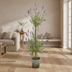 Layered Lavender Topiary - TidyPlant