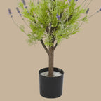 Layered Lavender Topiary - TidyPlant