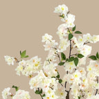 Lush Cherry Blossom Tree - TidyPlant