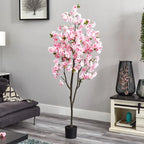 Lush Cherry Blossom Tree - TidyPlant