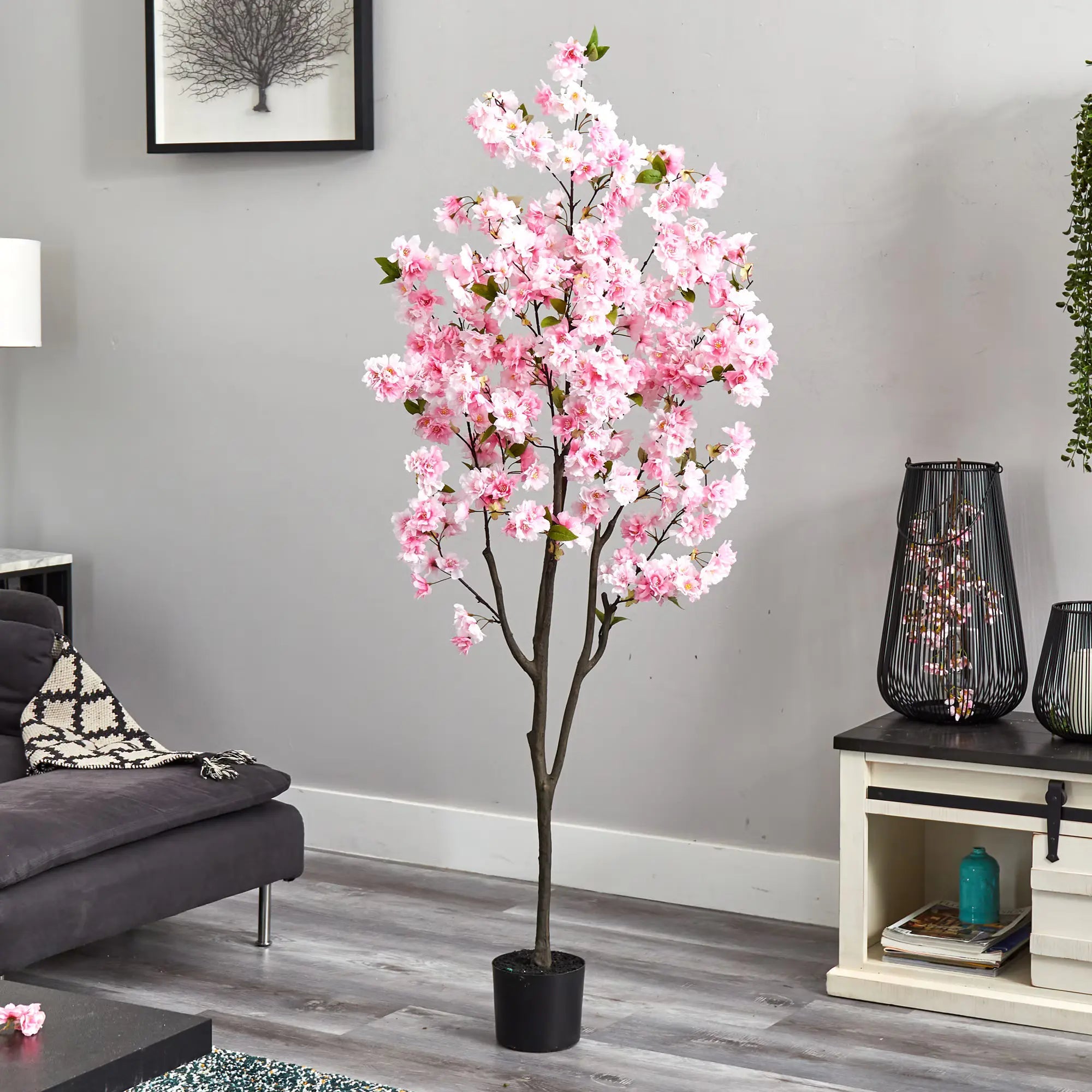 Lush Cherry Blossom Tree - TidyPlant