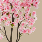 Lush Cherry Blossom Tree - TidyPlant