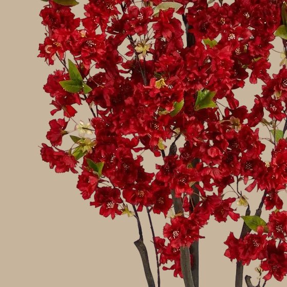 Lush Cherry Blossom Tree - TidyPlant