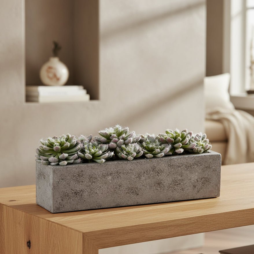Lush Succulent Garden - TidyPlant