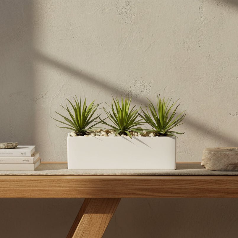 Mini Agave Garden - TidyPlant