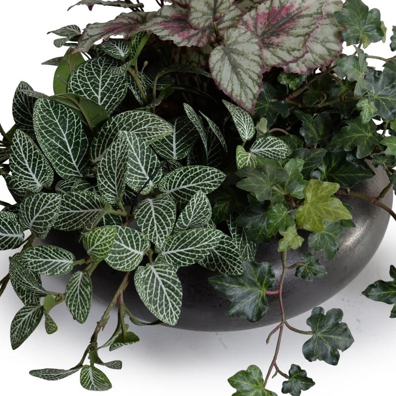 Mixed Greenery Bowl in Ceramic - TidyPlant