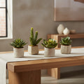 Four artificial succulent plants in beige pots on a white background