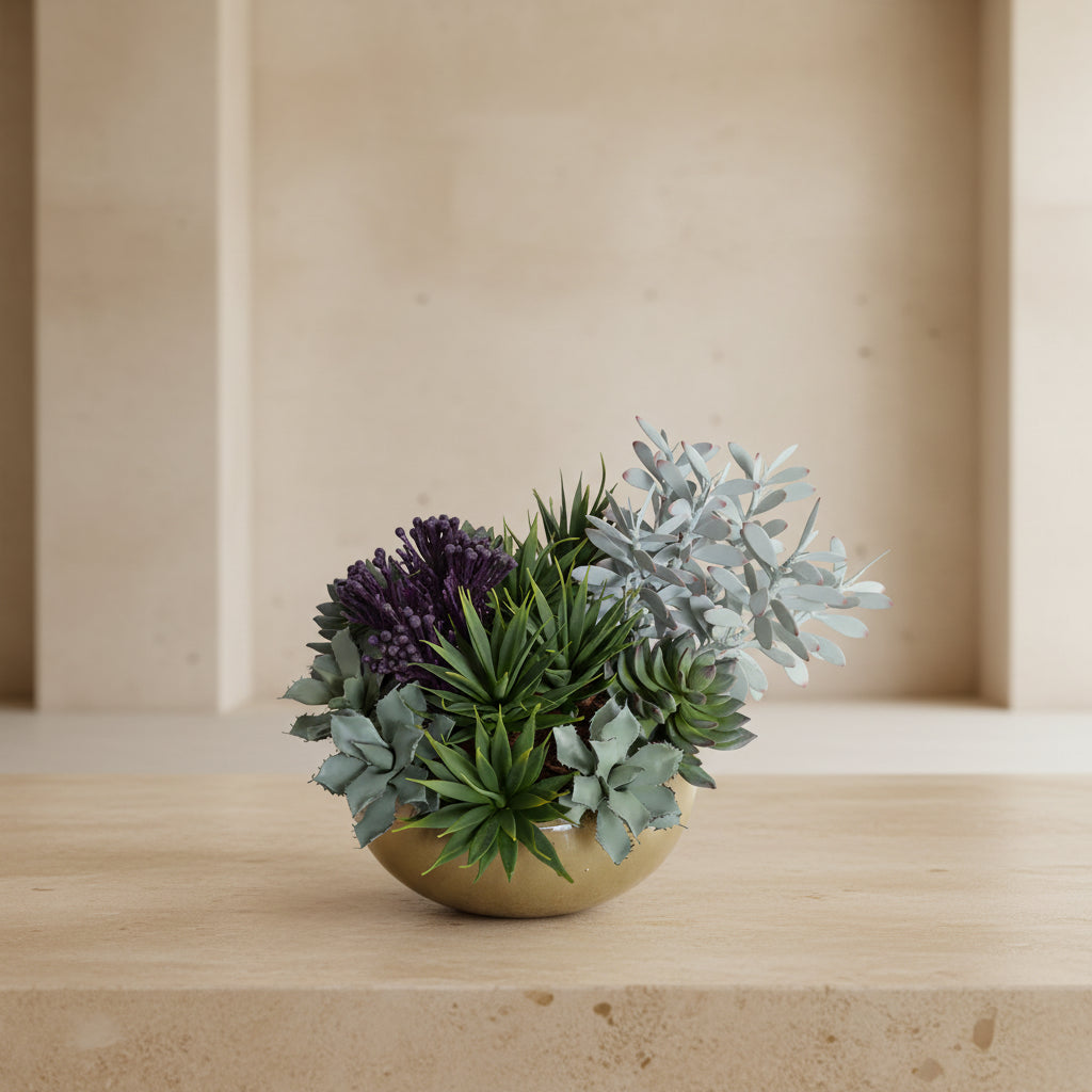 Mixed Succulents in Round Terracotta - TidyPlant