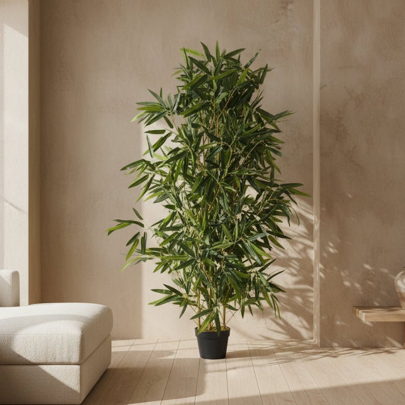 Natural Bamboo Tree - TidyPlant