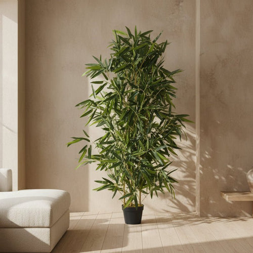 Natural Bamboo Tree - TidyPlant