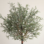 Olive Topiary Tree - TidyPlant