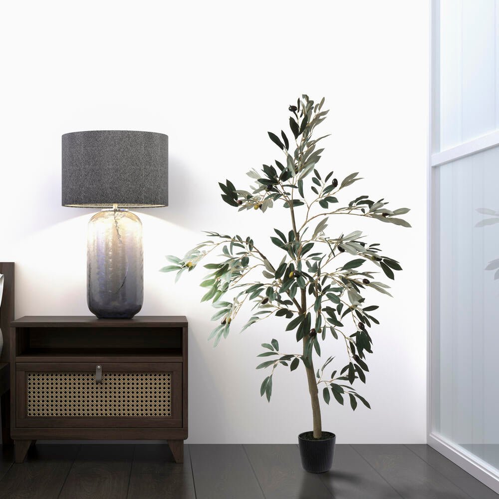 Olive Tree - TidyPlant